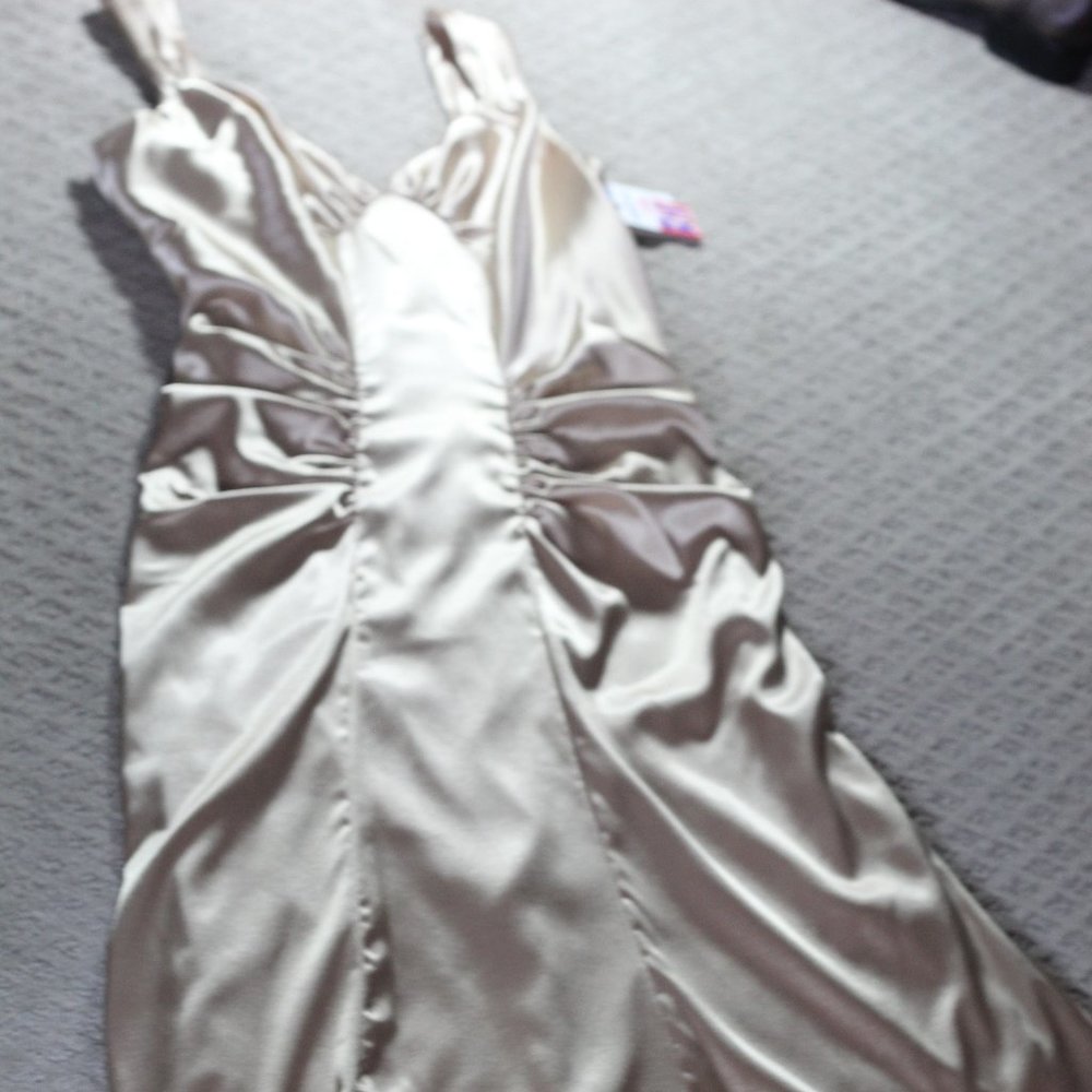 NWT Blondie Nites Formal Dress